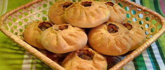 Belyashi in the oven: why buy if you can cook it? Recipes for your favorite whites in the oven: with meat, vegetables and citrus fruits