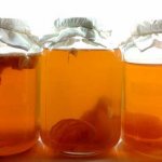 чайный гриб в банках