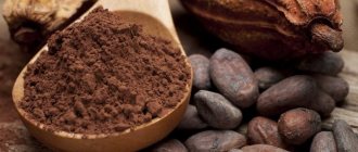Чем полезно какао для организма женщины