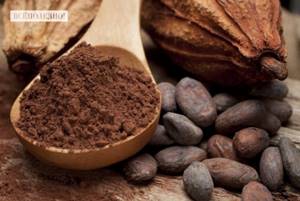 Чем полезно какао для организма женщины