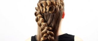French braids - 15 options for how to braid long and medium hair, photo