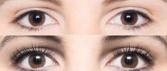 how to dye eyelashes in a salon