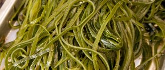 Какую водоросль называют морской капустой