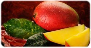 Польза плодов манго