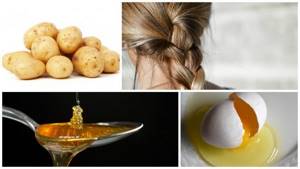 Рецепт для волос с картошкой, медом и яйцом на ночь