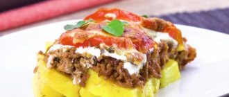 Meat casserole recipes: a variety of recipes