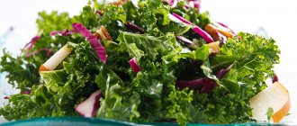 Salad