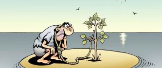 Delayed life syndrome: what is it, reasons, what to do