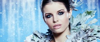 Зимний макияж – подборка модных идей на каждый день и для особых случаев